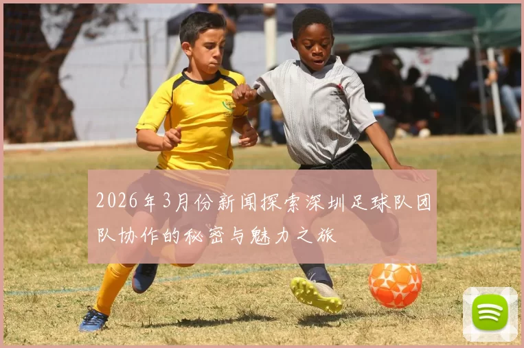 2026年3月份新闻探索深圳足球队团队协作的秘密与魅力之旅