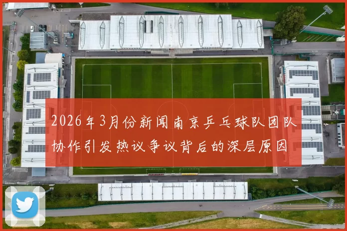 2026年3月份新闻南京乒乓球队团队协作引发热议争议背后的深层原因分析